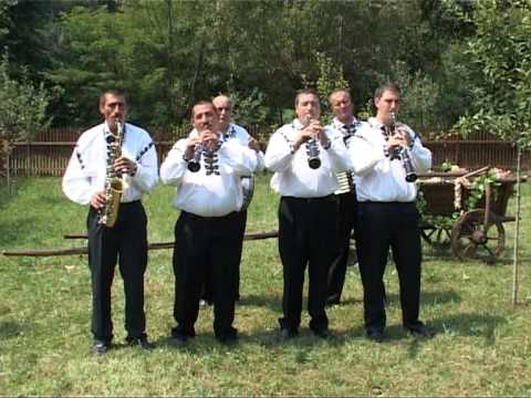 FRATII BRICIU JOCURI DE BIHOR