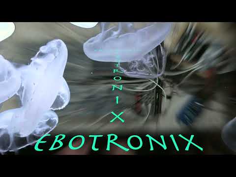 Buchla 200 Bongo in Space with Karplus String ~ Strong ~ Cloudburst