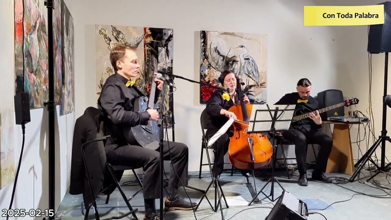 Promotional video thumbnail 4 for Soul Strings Music