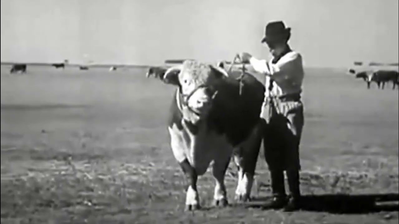 Pampa do Rio Grande do Sul - Documentário Americano de 1942