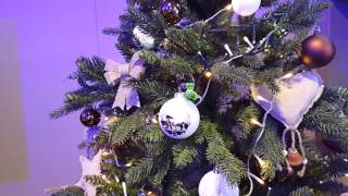 BEGOLINO TV - Voglia di Natale