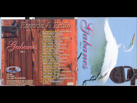 El Gaban Bolivariano - Andres Garcia | Música Llanera - Joropo