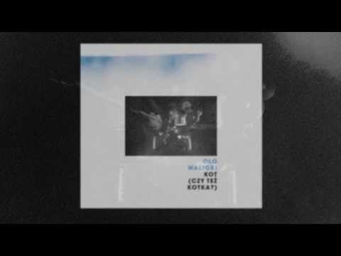 OLO WALICKI / KOT (CZY TEŻ KOTKA?) / TEASER