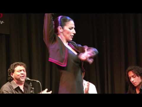 CASA PATAS 26 ANA FERNÁNDEZ