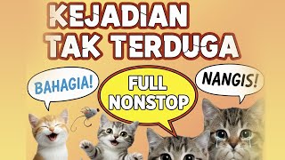 Download lagu KEJADIAN TAK TERDUGA!! FULL NONSTOP | PECINTA KUCING WAJIB SIMAK!! mp3 Download lagu KEJADIAN TAK TERDUGA!! FULL NONSTOP | PECINTA KUCING WAJIB SIMAK!! mp3