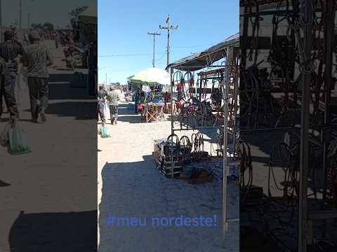 12 de junho de 2026  feira de gado de capoeiras pernambuco.