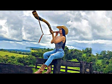 CD FORROZÃO COMITIVA BRUTAS E SISTEMÁTICAS 2022 - DJ LUIZ GUSTAVO