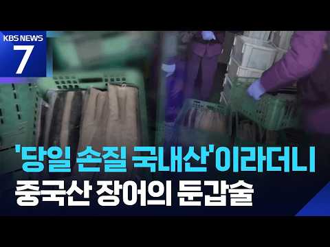 내가 먹은 장어가 중국산? 민물장어 72톤 국내산 둔갑 / KBS 2026.06.29.