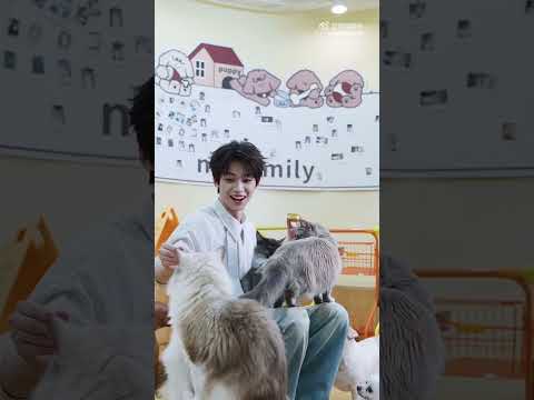 I found it attractive seeing a man who is so good with animal. So gentle. #梓渝 #郑朋 #Ziyu #ZhengPeng