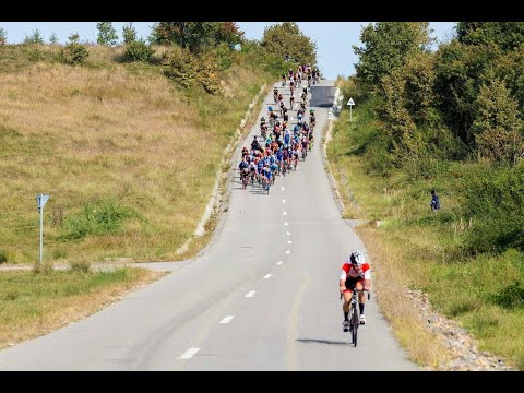 Ceva De La Cupa Max Ausnit MMXX