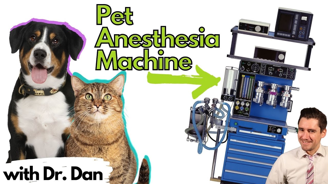 Pet Anesthesia Machine Explained by Dr. Dan