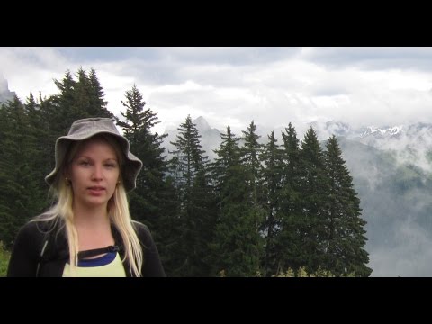 Stina - Ad zzi Saa de Slimane Azem