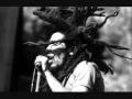 dracula.Bob Marley