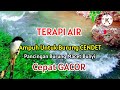 Terapi Air Ampuh Untuk Burung Cendet Suara Air Gemericik Terapi Burung