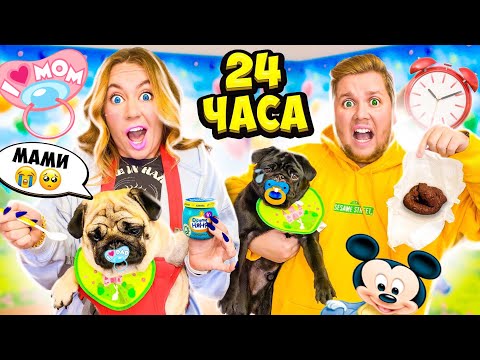 БАКС и ФУНТ СТАЛИ ДЕТЬМИ НА 24 часа! 🍼💩 МЫ СТАЛИ РОДИТЕЛЯМИ ЧЕЛЛЕНДЖ! Мопсы как Настоящие Дети