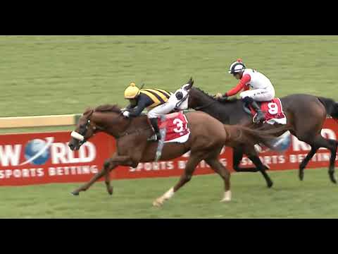 MK'S PRIDE - WILGERBOSDRIFT HF OPPENHEIMER HORSE CHESTNUT STAKES (Grade 1)
