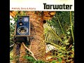 TARWATER - 07 Song Of The Moth