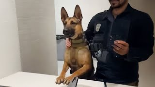Miniature vidéo