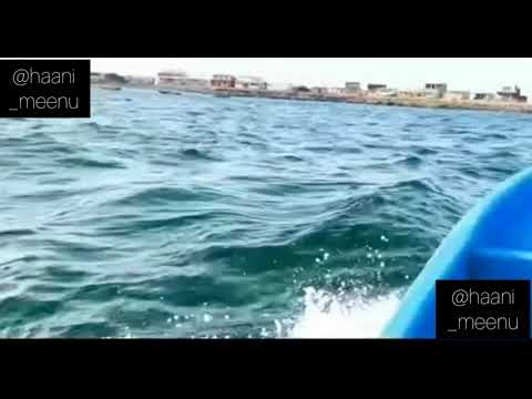 #Muneeb butt Aiman khan & Ashan Mohsin Minal khan#we are in the beach#😍❤...