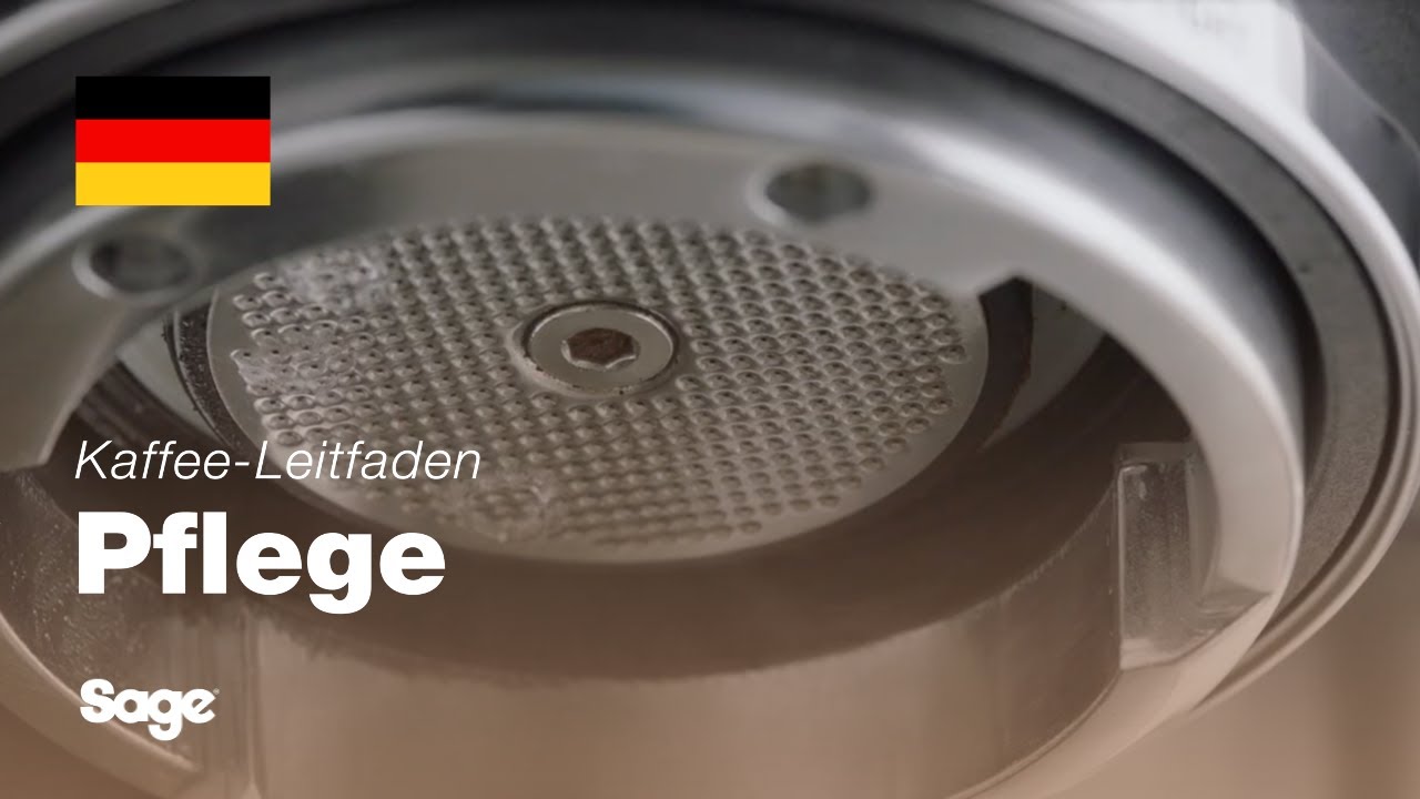 Reinigung der Dusche