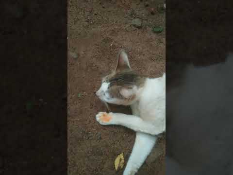 ❤️😘kunjimmu😘❤️