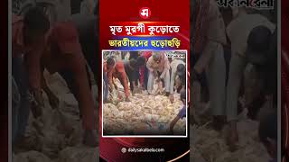 ফেলে দেওয়া মৃ*ত মুরগী কুড়োতে ভারতীয়দের হুড়োহুড়ি ! | Daily Sakalbela