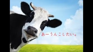 【閲覧注意】牛の断末魔