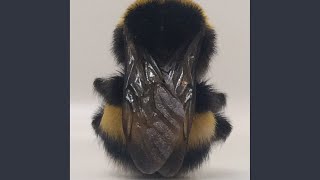 Tired People Get Up (Instrumental)