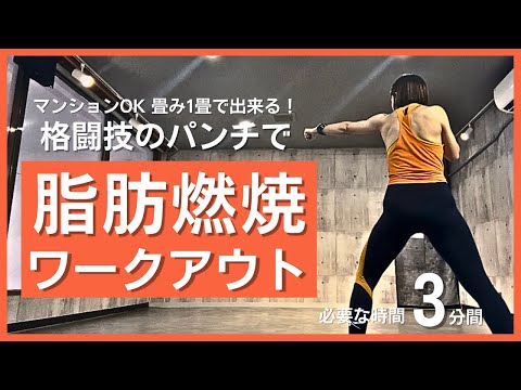 【自宅で脂肪燃焼エクササイズ】パンチを中心とした格闘技エクササイズ|繰り返し行う有酸素運動