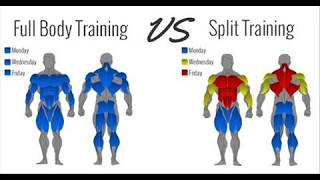 Comment diviser les groupes musculaires lors d'un entraînement?