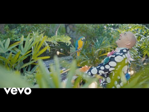 Rocco De Villiers - Kortbroek, Langkouse