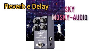 Video thumbnail for SKY REVERB & DELAY (MOSKY-AUDIO) REVIEW COMPLETO. by ALLMUSIC