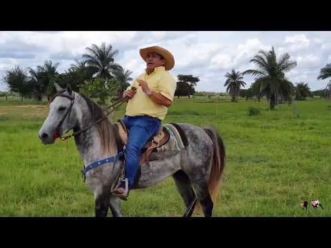 Te Quiero Como a Mi Llano - Villamil Torres "El Azulejo del Llano"