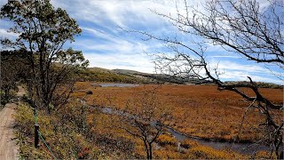 おかんと二人旅　Part141　八島ヶ原湿原