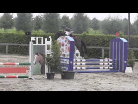 Creswell LVP Z -12 (by casall ask x quantum)