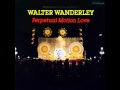 Walter Wanderley - Amazonas (1981)