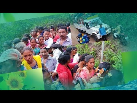 Soura__Video _marriage /Video