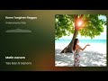 Koron Tangiram Created By AYS