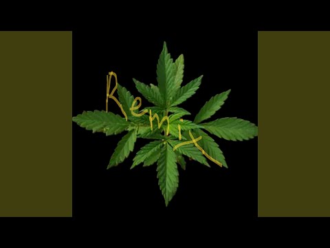 Trippy People (Remix Version)