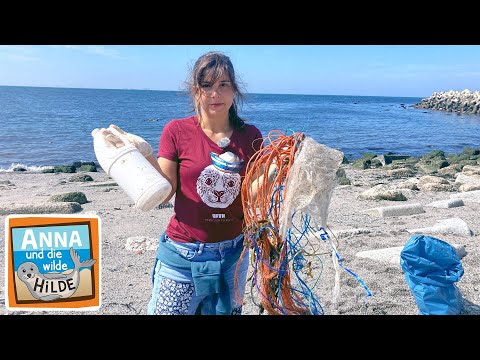 Im Sturzflug | Anna und die wilde Hilde | #4 von 5