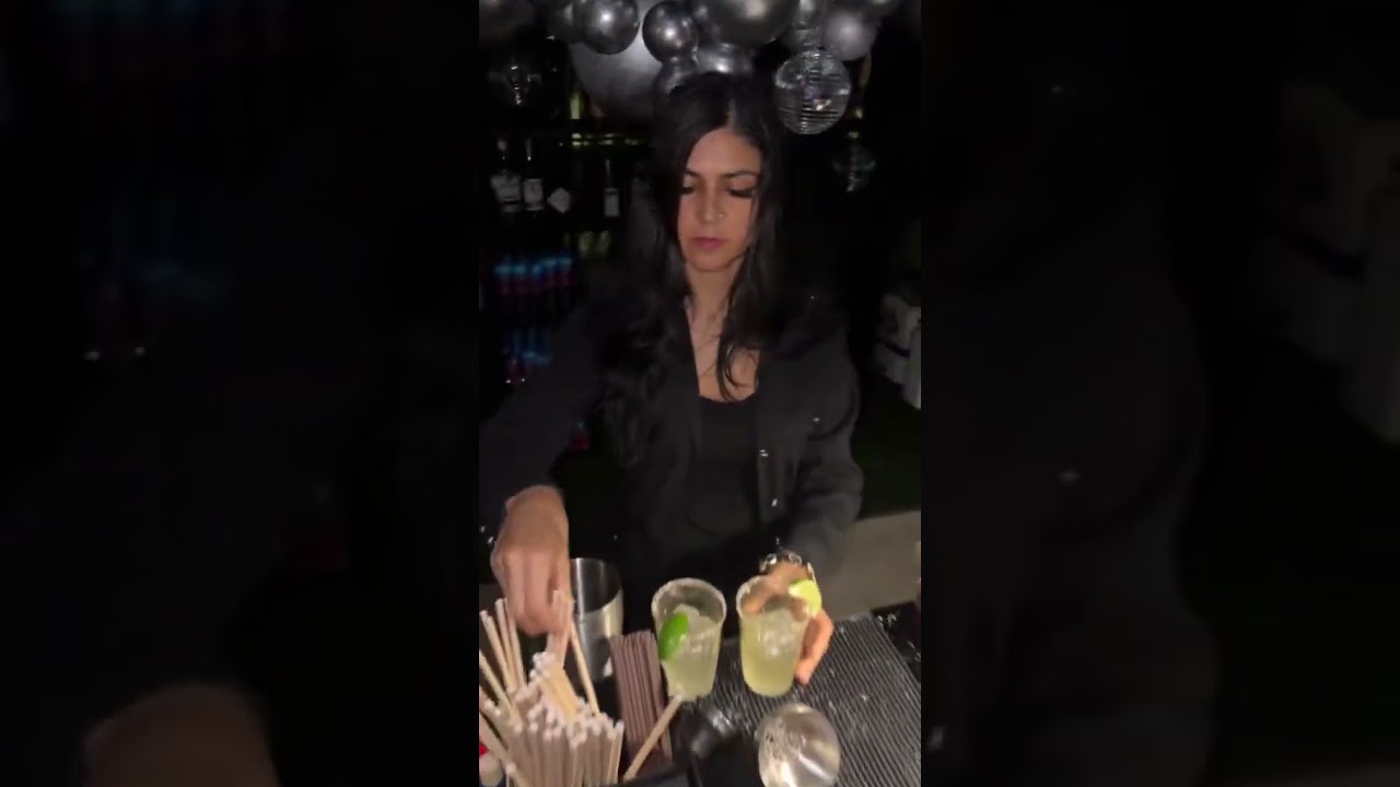 Promotional video thumbnail 3 for Bartending and/or DJ services by Dinner Party Diva