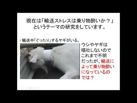 農学部生物資源科学科　模擬授業「家畜のストレス対策」青山真人