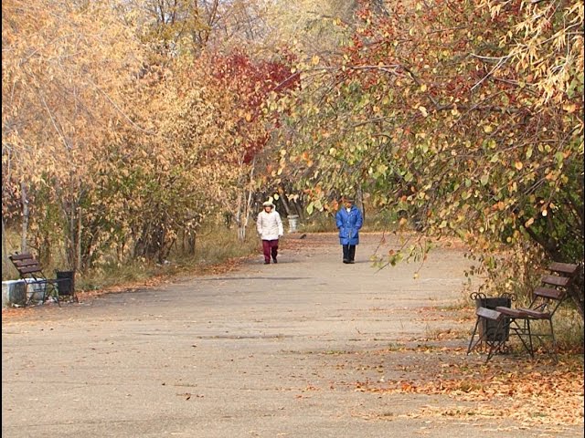 В парк вдохнут новую жизнь