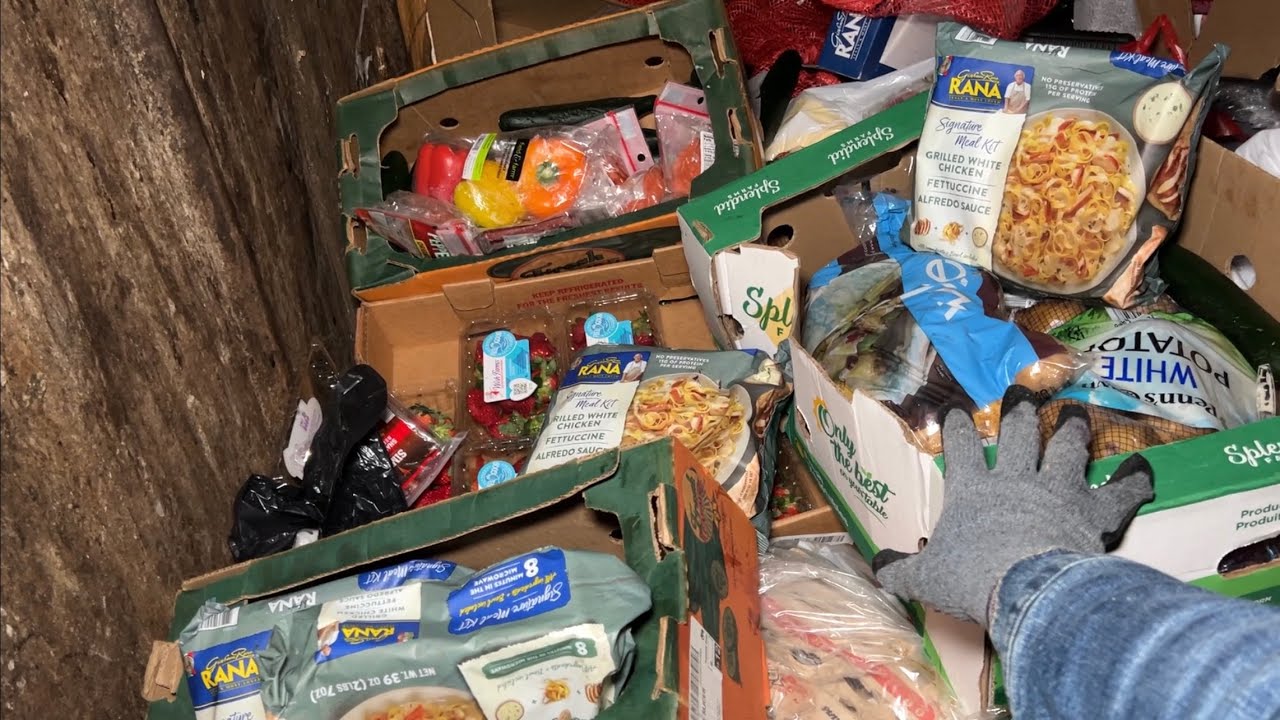 Dumpster Diving Aldi #178 Free Grocery Shopping!