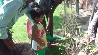 Delhi Public School Video