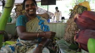 360+ Leadership Collective 2016 Film Projects: Vegetable Markets Connecting Farmers with Madurai