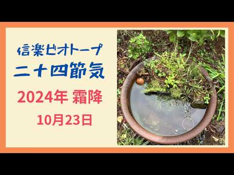 バルコニーのプライバシースクリーン – 25 のデザインと装飾のアイデア  庭園