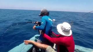 Câu cá mú ngoài giàn khoan 2018 Câu cá mú ngoài giàn khoan 2018