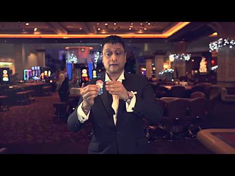 Flying Colors  by Rajan