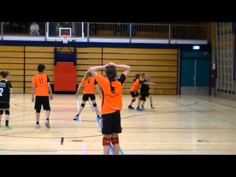 2015 03 FIQAS Aalsmeer D3 Kampioen